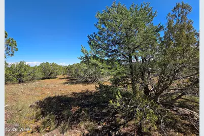 1 8063 Road, Vernon, AZ 85940 - Photo 10