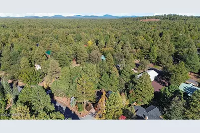 5133 Black Panther Loop, Pinetop, AZ 85935 - Photo 54