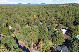 5133 Black Panther Loop, Pinetop, AZ 85935 - Photo 54
