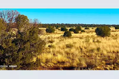 9747 Willis Hill Trl 40 Acres, Snowflake, AZ 85937 - Photo 4