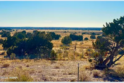 9747 Willis Hill Trl 40 Acres, Snowflake, AZ 85937 - Photo 2
