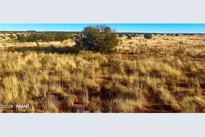 9747 Willis Hill Trl 40 Acres, Snowflake, AZ 85937 - Photo 12