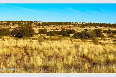 9747 Willis Hill Trl 40 Acres, Snowflake, AZ 85937 - Photo 6