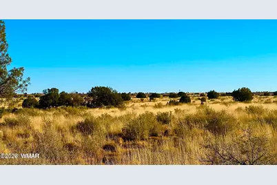 9747 Willis Hill Trl 40 Acres, Snowflake, AZ 85937 - Photo 14