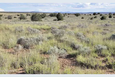 68 N9016, Concho, AZ 85924 - Photo 22