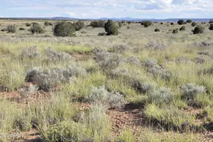 68 N9016, Concho, AZ 85924 - Photo 22