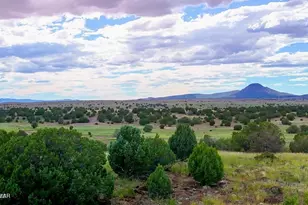 Tbd Rocky Hill Rd Lot B 20 Acres, Ash Fork, AZ 86320 - Photo 1