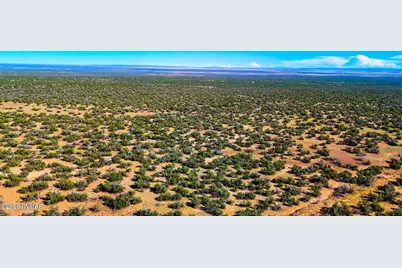 Tbd Co Rd N7480 40 Acres, Saint Johns, AZ 85936 - Photo 6