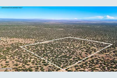 Tbd Co Rd N7480 40 Acres, Saint Johns, AZ 85936 - Photo 2