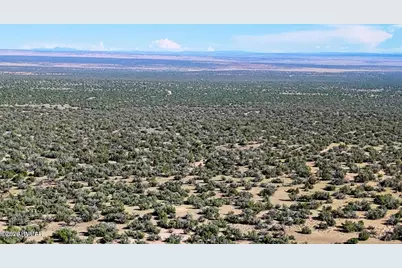 Tbd Co Rd N7480 40 Acres, Saint Johns, AZ 85936 - Photo 14