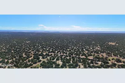 Tbd Co Rd N7480 40 Acres, Saint Johns, AZ 85936 - Photo 16