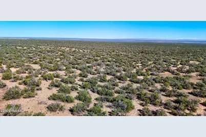 Tbd Co Rd N7480 40 Acres, Saint Johns, AZ 85936 - Photo 10
