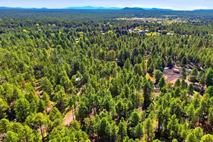 2485 Summer Dr, Lakeside, AZ 85929 - Photo 24