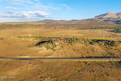 29 N2317, Nutrioso, AZ 85932 - Photo 14