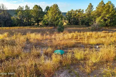 29 N2317, Nutrioso, AZ 85932 - Photo 10