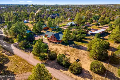 3320 Tonto Drive, Overgaard, AZ 85933 - Photo 28