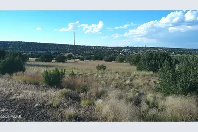 Tbd Concho Valley Lot 48 Drive, Concho, AZ 85924 - Photo 16
