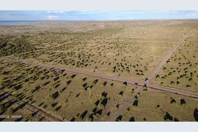 Tbd Concho Valley Lot 48 Drive, Concho, AZ 85924 - Photo 8
