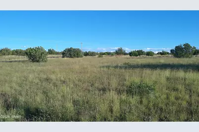 Tbd Concho Valley Lot 48 Drive, Concho, AZ 85924 - Photo 20