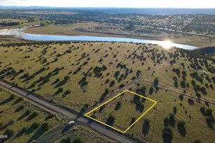 Tbd Concho Valley Lot 48 Dr, Concho, AZ 85924 - Photo 1
