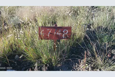 Tbd Concho Valley Lot 48 Drive, Concho, AZ 85924 - Photo 22