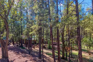 2699 Summer Dr, Lakeside, AZ 85929 - Photo 28