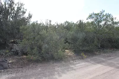 8319 Lone Pine Drive, Show Low, AZ 85901 - Photo 10