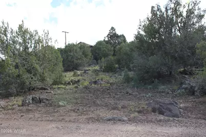 8319 Lone Pine Drive, Show Low, AZ 85901 - Photo 1
