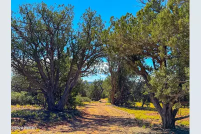61 Norma Rd Lot C 10 Acres, Ash Fork, AZ 86320 - Photo 14