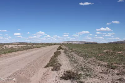453 Co Rd 5392, Concho, AZ 85924 - Photo 2