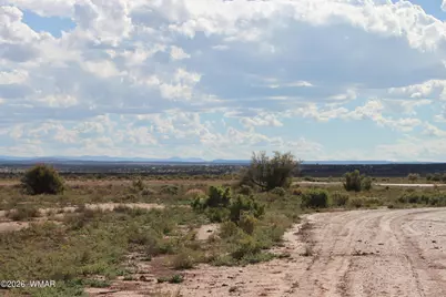 453 Co Rd 5392, Concho, AZ 85924 - Photo 16