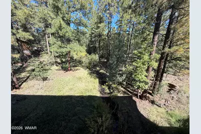 18 Walnut Creek Trail, Lakeside, AZ 85929 - Photo 10