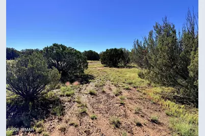 0 Lake Ridge Road, Show Low, AZ 85901 - Photo 32