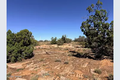 Lot 19 Snowflake Ranches, Snowflake, AZ 85937 - Photo 22