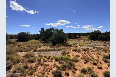 Lot 19 Snowflake Ranches, Snowflake, AZ 85937 - Photo 30