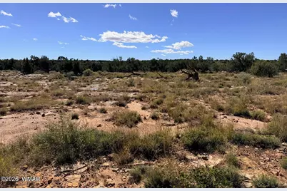 Lot 19 Snowflake Ranches, Snowflake, AZ 85937 - Photo 16