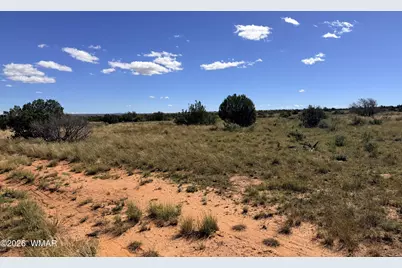 Lot 19 Snowflake Ranches, Snowflake, AZ 85937 - Photo 6