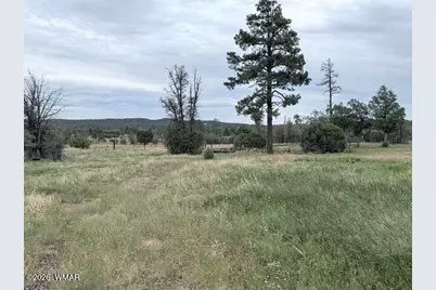 1807 Rocky Lane, Show Low, AZ 85901 - Photo 10