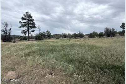 1807 Rocky Lane, Show Low, AZ 85901 - Photo 16