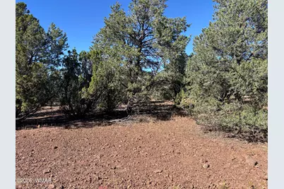 Tbd Acr 3027, Vernon, AZ 85940 - Photo 4