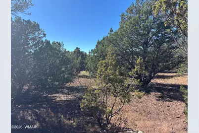 Tbd Acr 3027, Vernon, AZ 85940 - Photo 8