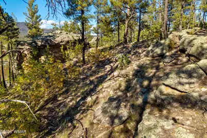 158 County Road 2266, Alpine, AZ 85920 - Photo 6