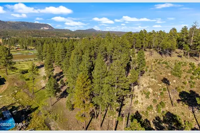 158 County Road 2266, Alpine, AZ 85920 - Photo 12