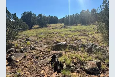 48 County Road 8237, Concho, AZ 85924 - Photo 4