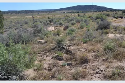 4985 Cedar Hills Road, Snowflake, AZ 85937 - Photo 28