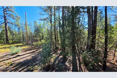 Tbd N Blue Grass Ranch Drive, Lakeside, AZ 85929 - Photo 8