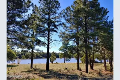 1385 N 22nd Drive, Show Low, AZ 85901 - Photo 24