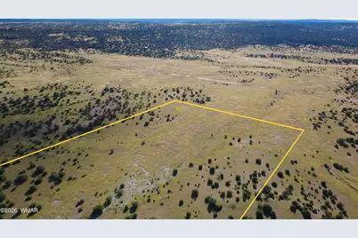 Tbd Lakeview Ranch, Concho, AZ 85924 - Photo 14