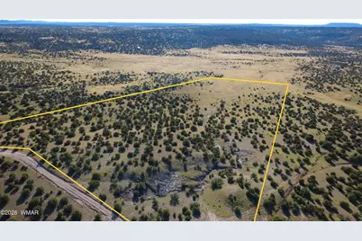 Tbd Lakeview Ranch, Concho, AZ 85924 - Photo 16