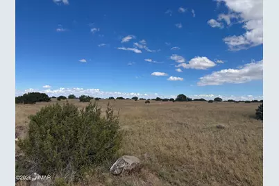 110 Hickory Lane, Concho, AZ 85924 - Photo 1